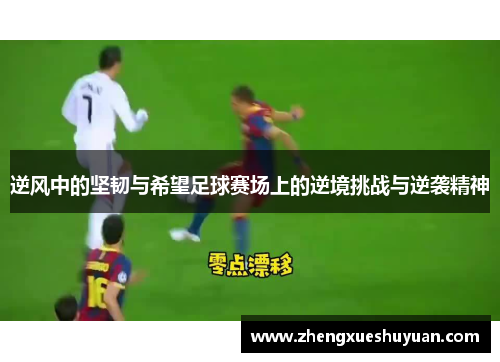 逆风中的坚韧与希望足球赛场上的逆境挑战与逆袭精神