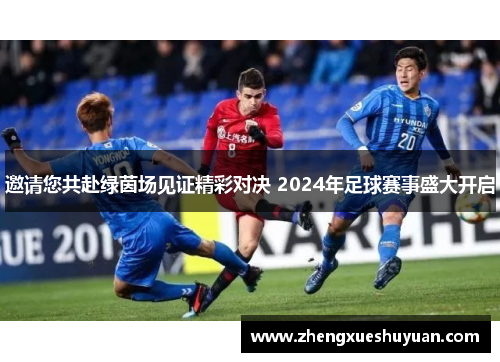 邀请您共赴绿茵场见证精彩对决 2024年足球赛事盛大开启