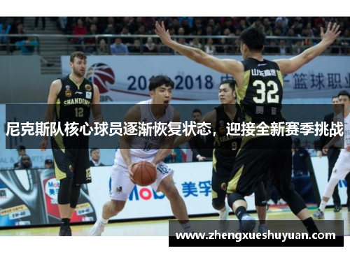 尼克斯队核心球员逐渐恢复状态，迎接全新赛季挑战