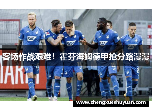 客场作战艰难！霍芬海姆德甲抢分路漫漫