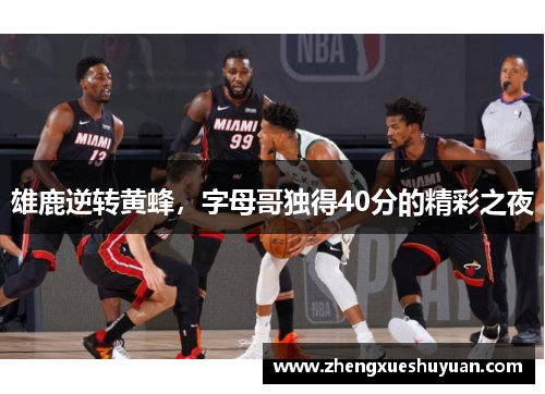 雄鹿逆转黄蜂，字母哥独得40分的精彩之夜