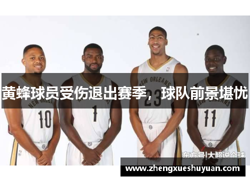 黄蜂球员受伤退出赛季，球队前景堪忧