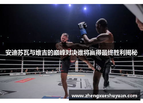 安迪苏瓦与维吉的巅峰对决谁将赢得最终胜利揭秘