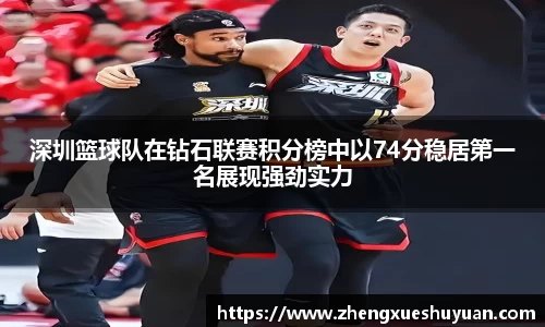 IM电竞网址